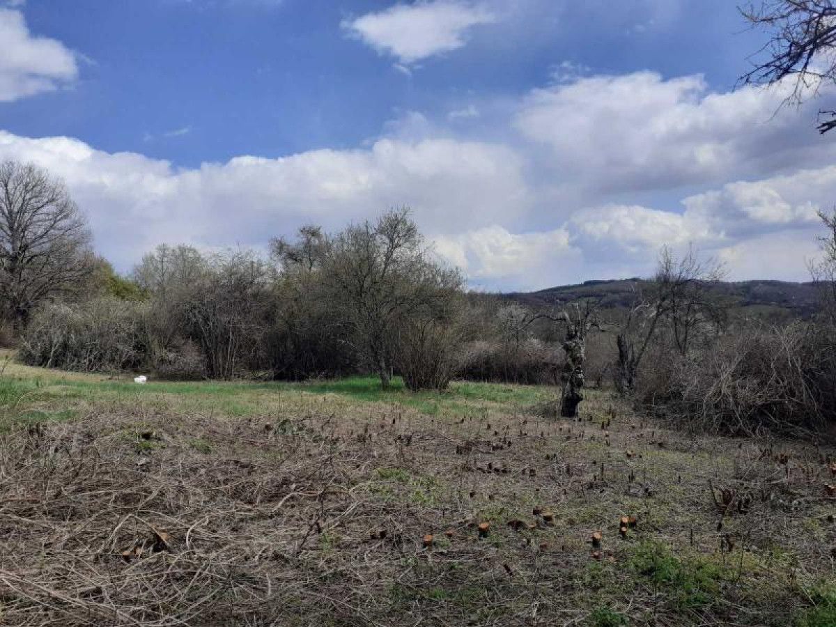 Стара къща в планината с двор 4 дка