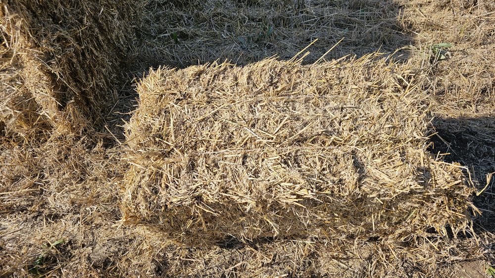 Продам ячменную солому