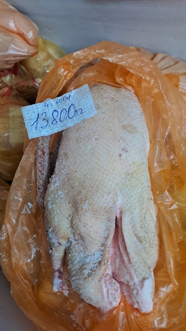 Продаётся жирные гуси.