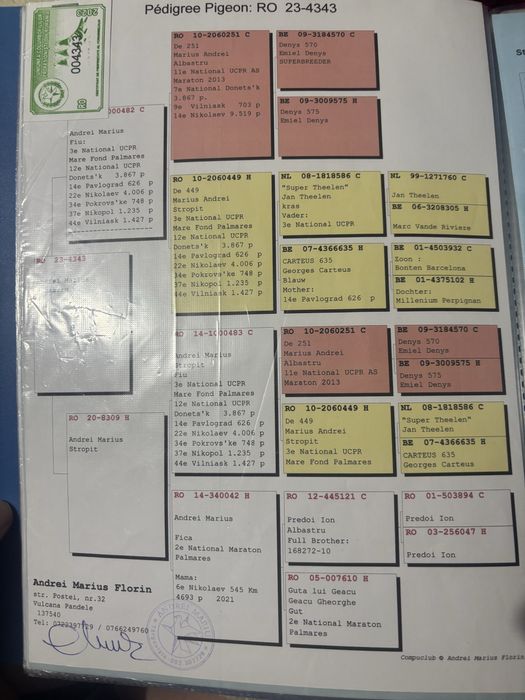 Disponibil femela maraton extrem