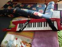 Roland ax 1 an Stare Buna