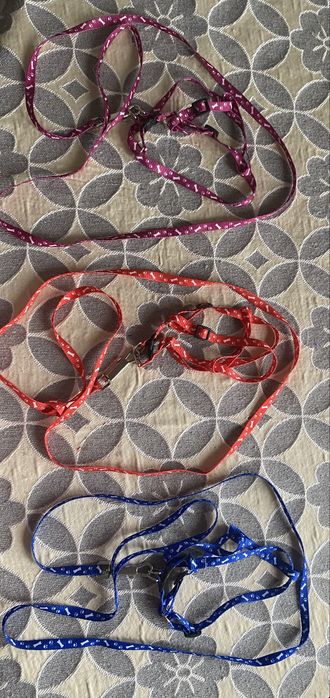 Продам новые шлейка+поводок для кошек и собак мелких пород.