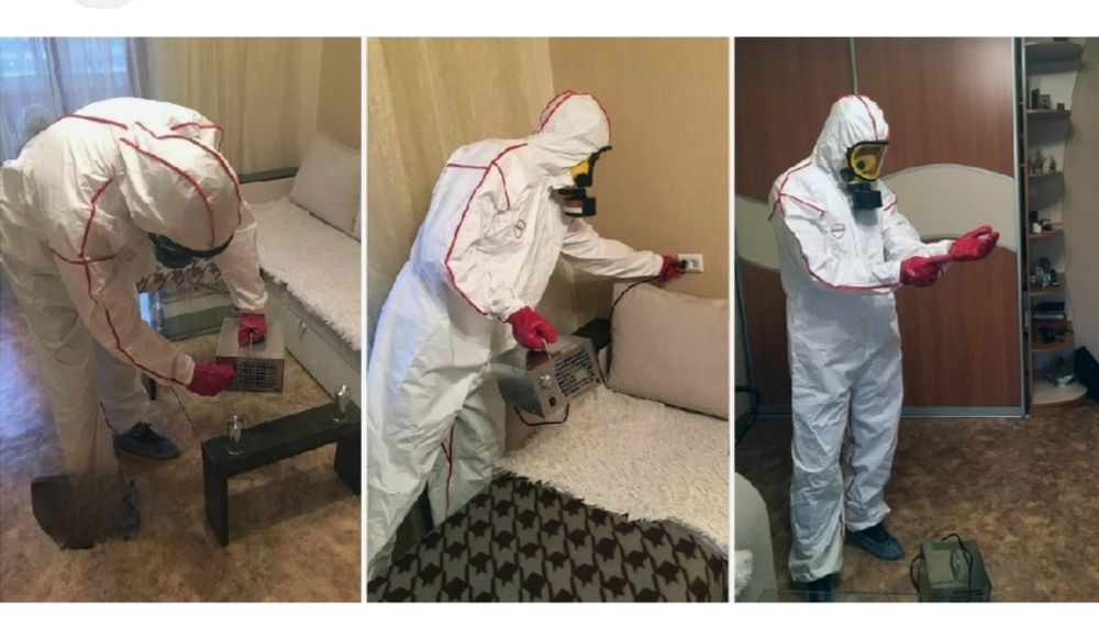 Дезинфекция дезинфекция дератизация квартир домов офисов магазинов