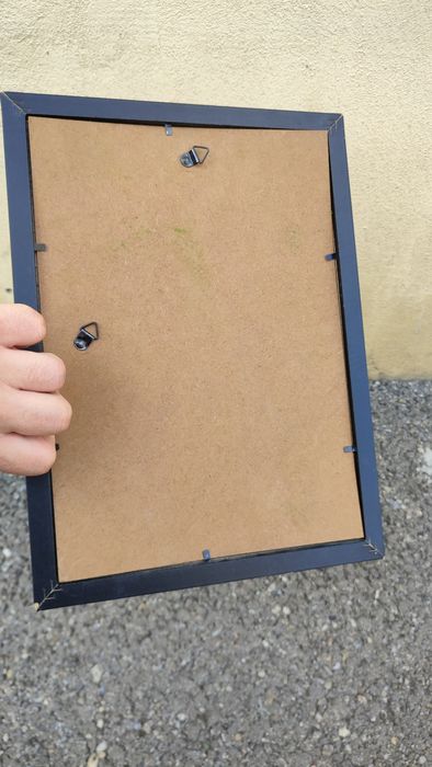 Tablou cu mușchi si licheni stabilizati