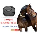 GPS для лошадей. ЖПС жылкыга техникаларга. Доставка Казахстан бойынша