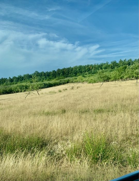 Vând direct ca persoană fizicǎ (proprietar) teren în Şomcuta Mare