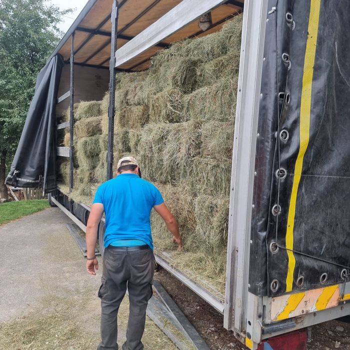 Baloti:Lucerna.Trifoi.Fan.Lolium.Rotunzi min 40.Drept.500.Trans.inclus