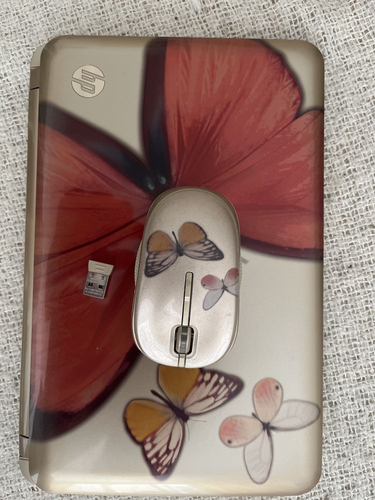 Hp       Laptop
