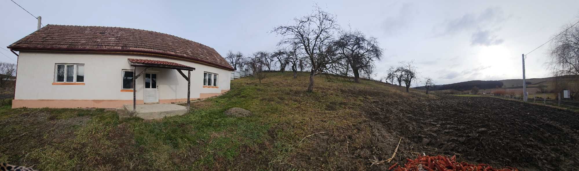 Casă și teren de vânzare
