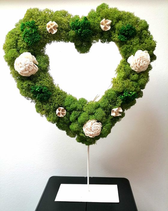 Decoratiuni licheni și plante stabilizate