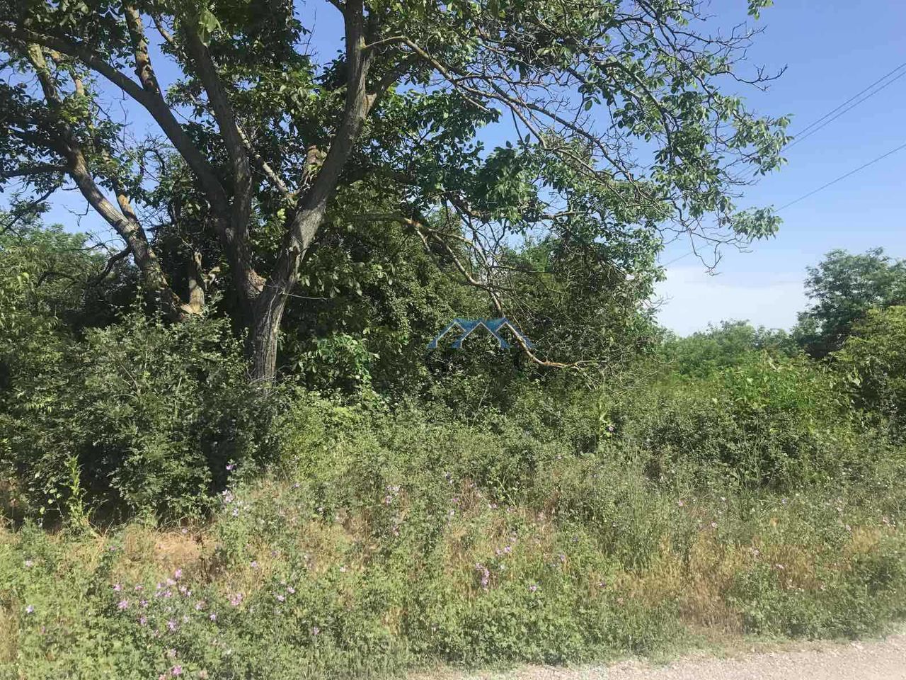 Продава се Парцел в с. Приселци, Област Варна - 2491 кв.м за 23 €/кв.м - Снимка #3