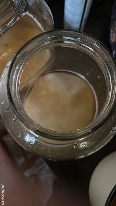 Kombucha - Scooby+ lichid starter