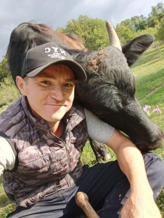 Viteza Bivol de 1 an și 4 luni