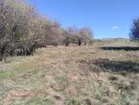 Продава ПАРЦЕЛ в с. Слаковци, общ. Брезник, област Перник