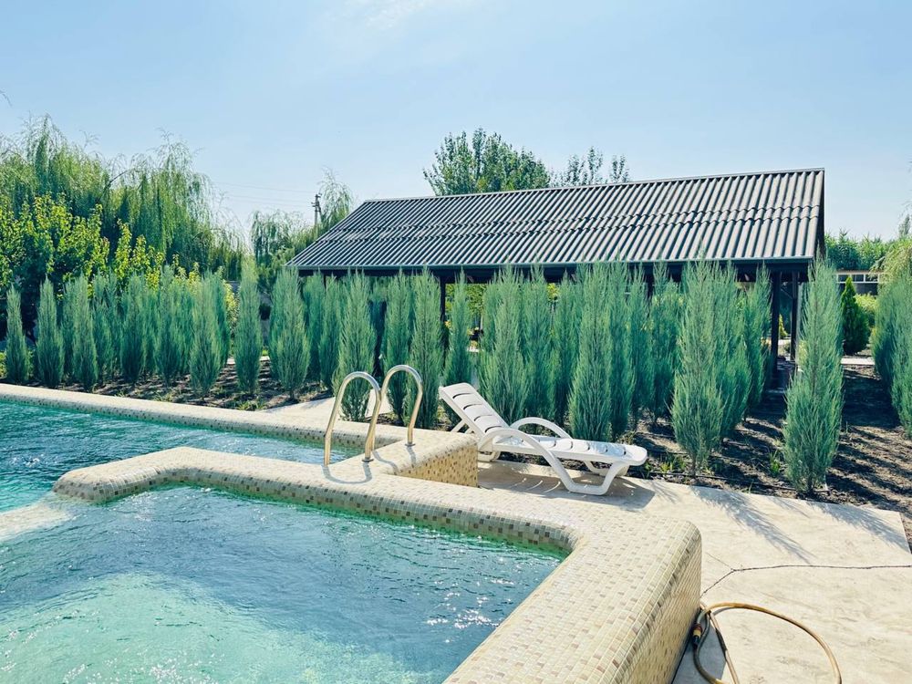 Juniperus Skoyrocket