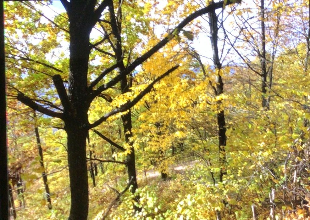 Parcele de vinzare la Muntele Rece, Cluj/schimb cu auto