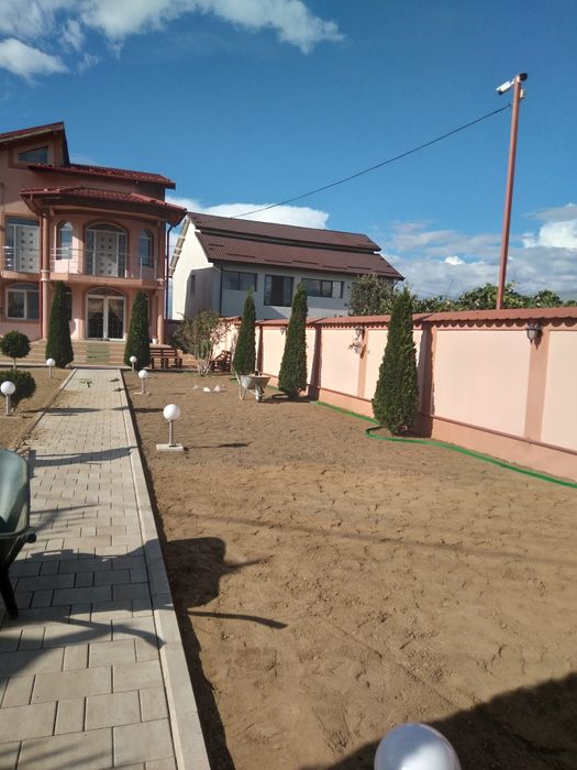 Gazon rulou calitatea premium