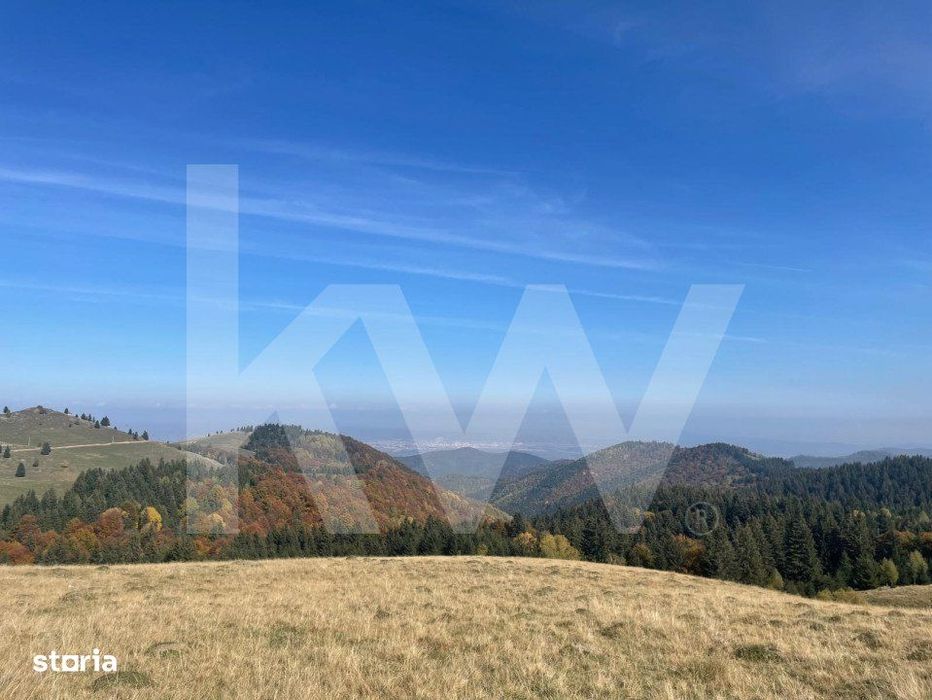 De vanzare: Parcele in Paltinis de la DOAR 15.000 EUR!