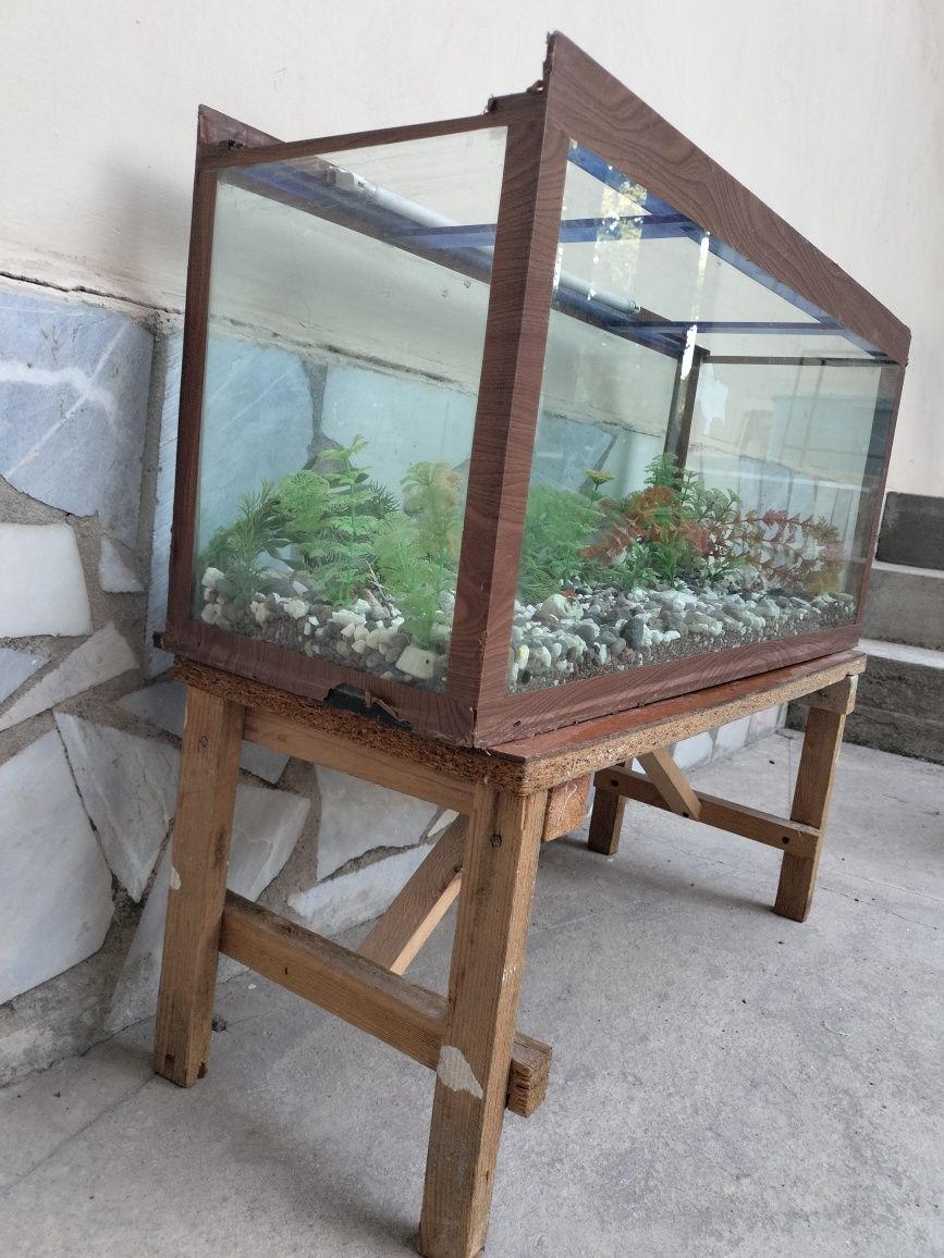 Akvarium sotiladi