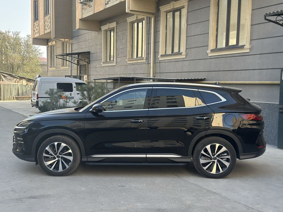 Byd chempion gibrid 2025