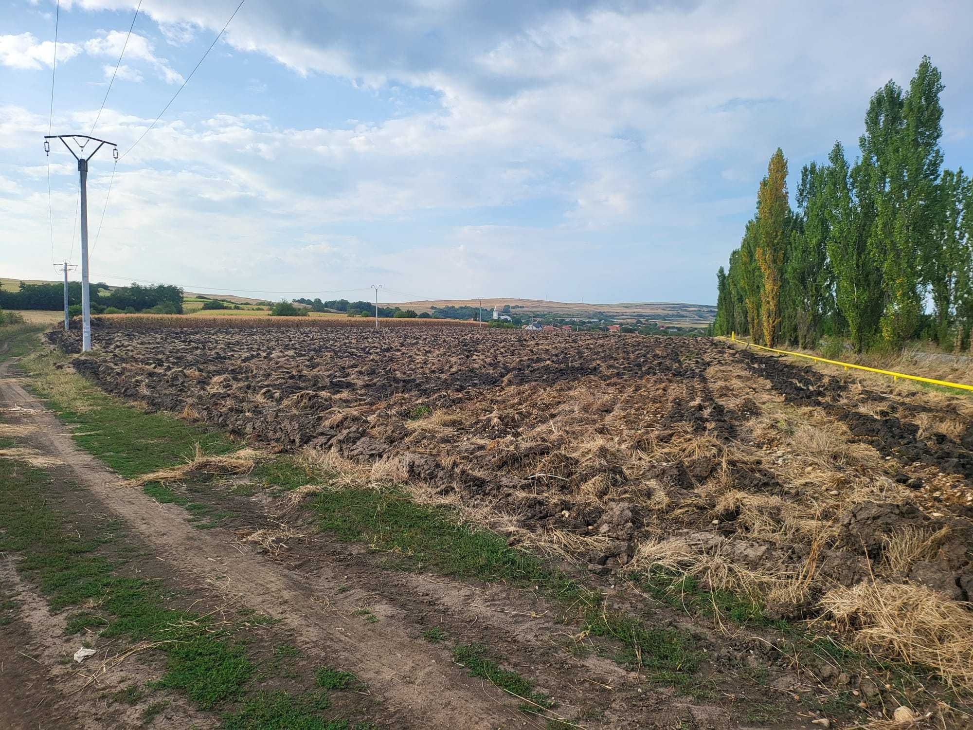 Proprietar vand 25.000 mp teren hale in Tureni, nod rutier A3