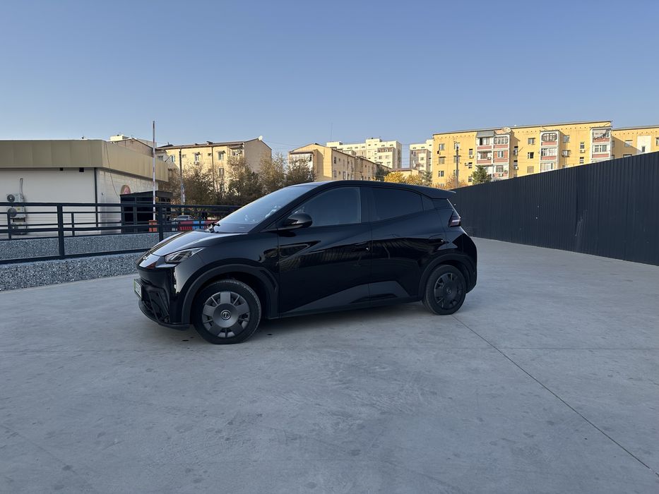 Byd seagull 305 km toza