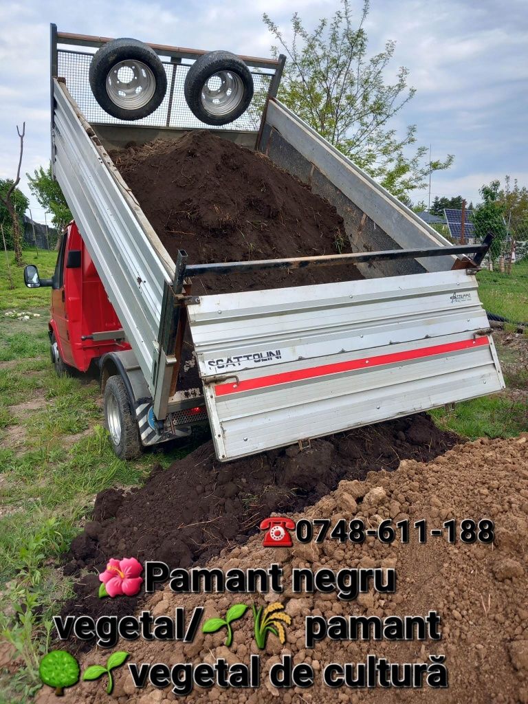 Pamant negru pamant vegetal