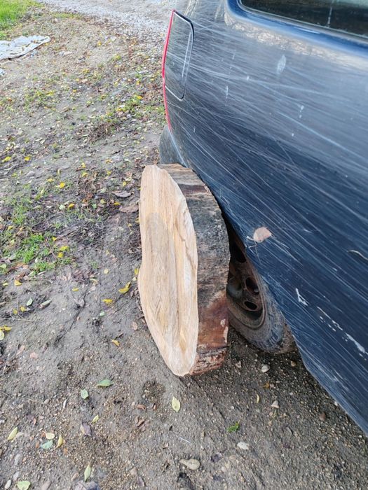 Сухи орехови янове и шайби