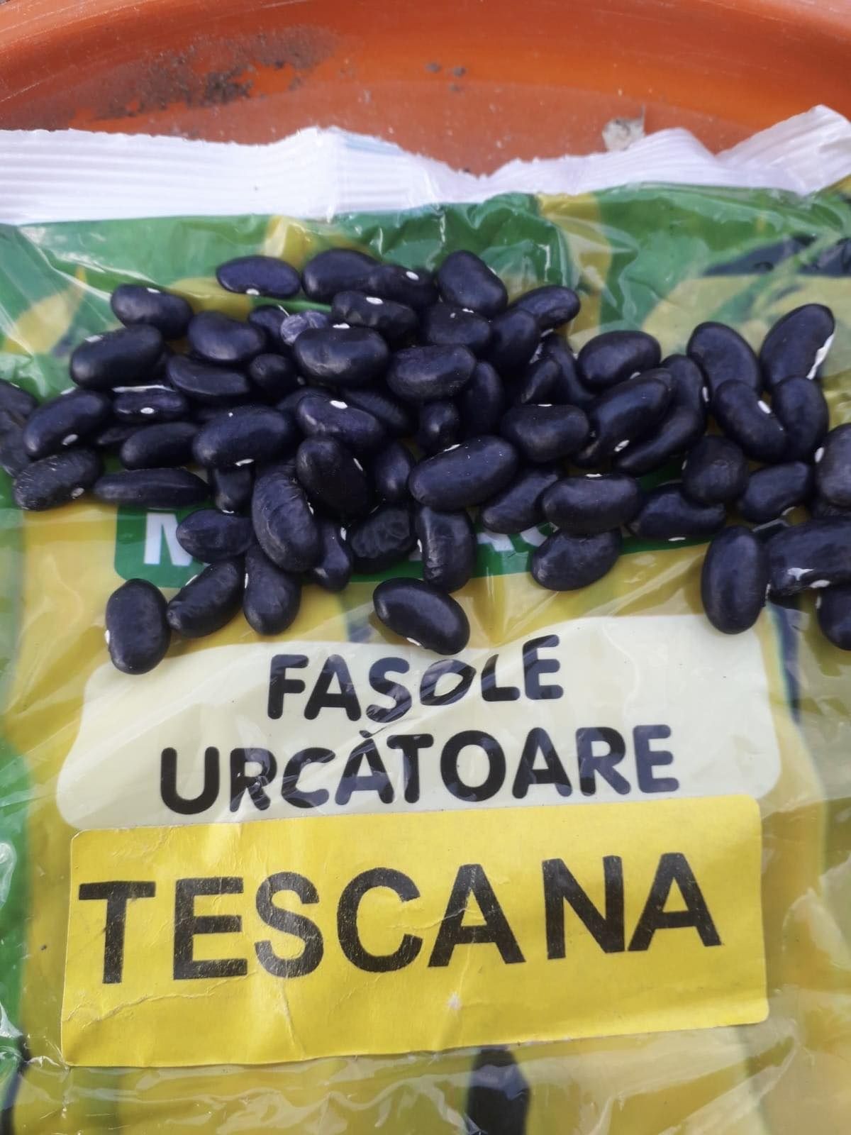 Fasole urcătoare Tescana