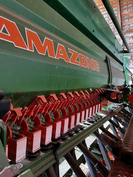 Semanatoare Amazone D9-60