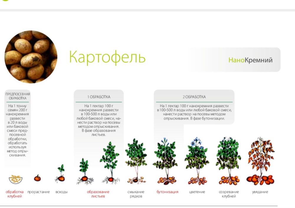 Удобрение для картофеля