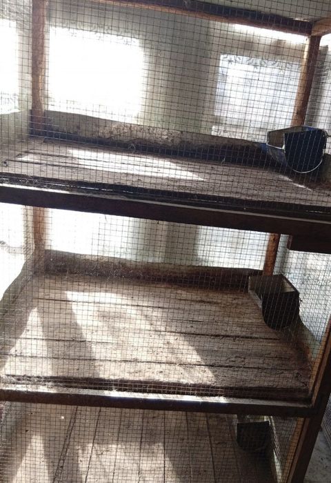 Quyon kataklar xolati yaxshi