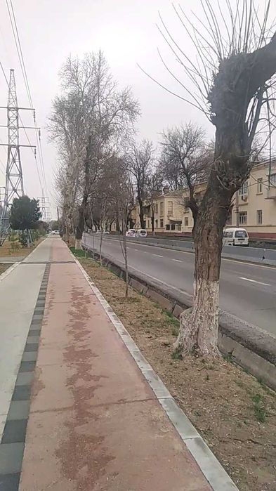 Гор Парк! Центрда! 2 хон, кв, сотилади!