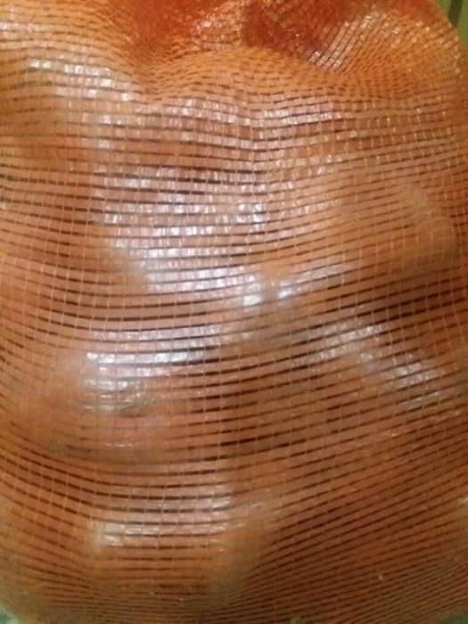 Картофель крупный