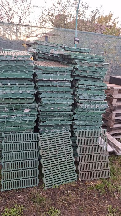 Hranitoare porci automate/Boxe fatare/Podele