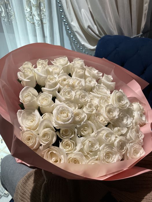 51 роза свежие !