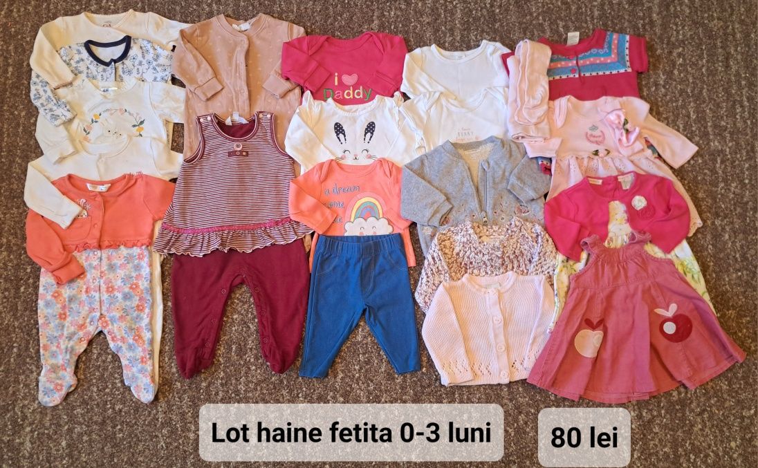 Lot haine fetita 0-3 luni