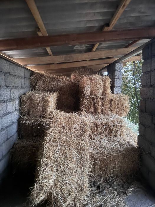 Сомон 20 мингдан 100 та бор курук яхш жойда сакланган