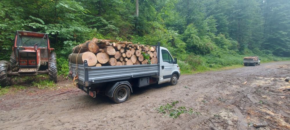 Lemn de foc esenta tare