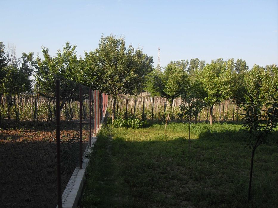 Casă de vânzare Șimian - Pret negociabil