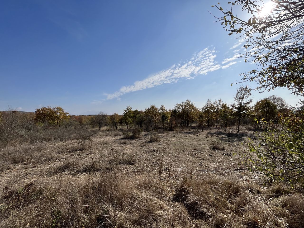 Продава се Парцел в с. Росен, Област Бургас - 1118 кв.м за 25 €/кв.м - Снимка #3