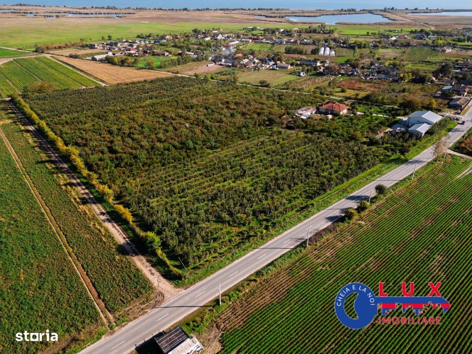 Id 7785 Livada Sabangia De Vânzare - Exclusivitate Lux Imobiliare