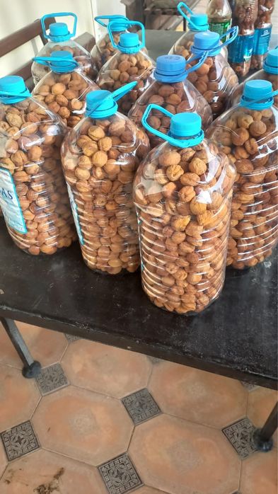 Курага из абрикоса , сухофрукт