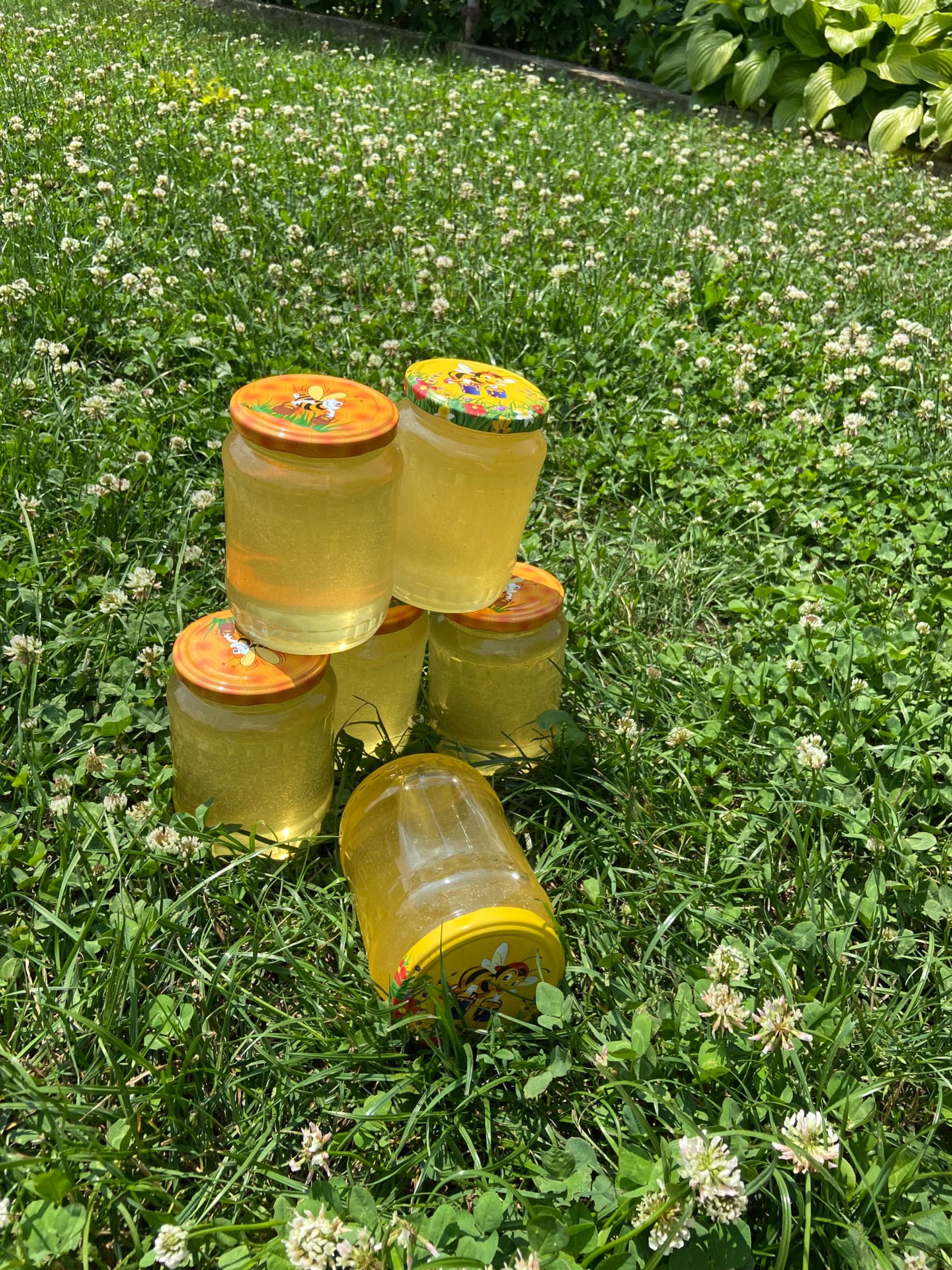 Miere de la producator