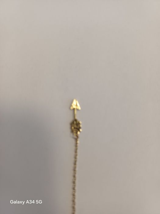 Cercei aur Teilor/DAAR