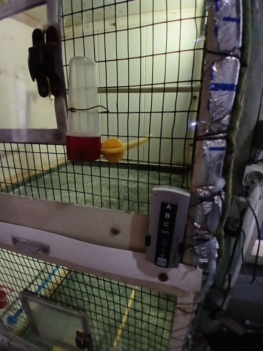 Клетка Валер  Капас кушла темрдон аценковкадан ясалгантемир ва аценков