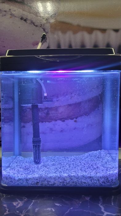 Оборудван аквариум