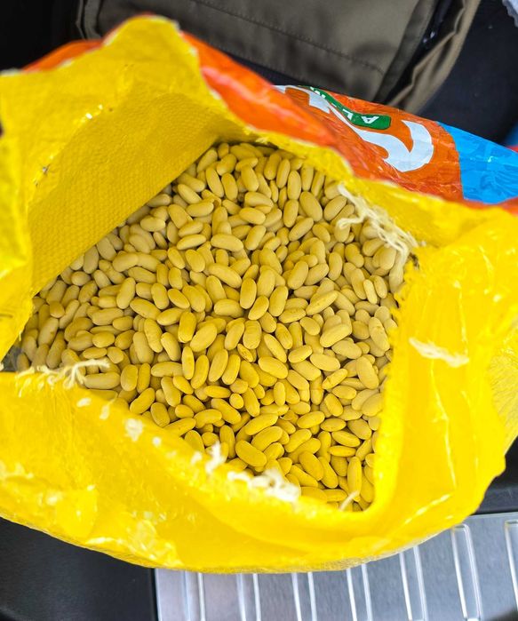 Fasole alba premium – Calitatea Nr. 1 noua 2025