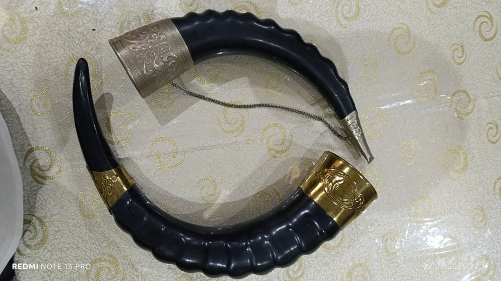 Shox ikkasidan 1tadan