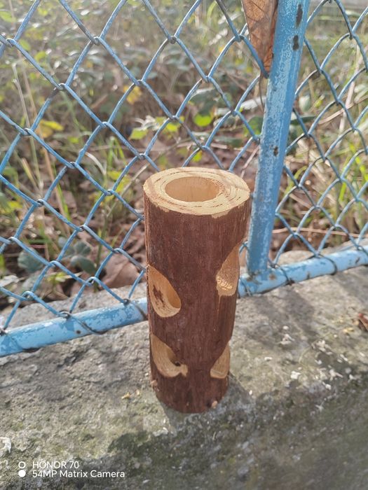 Decorațiuni hamsteri /purceluși de guineea